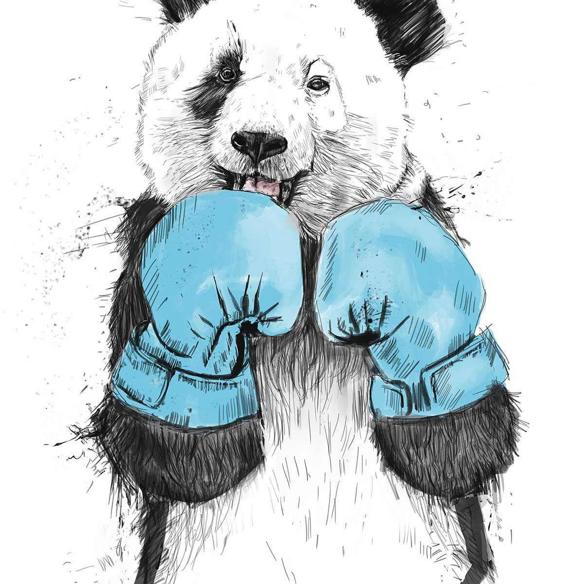 Affiche enfant boxe panda affiche seule, HEXOA