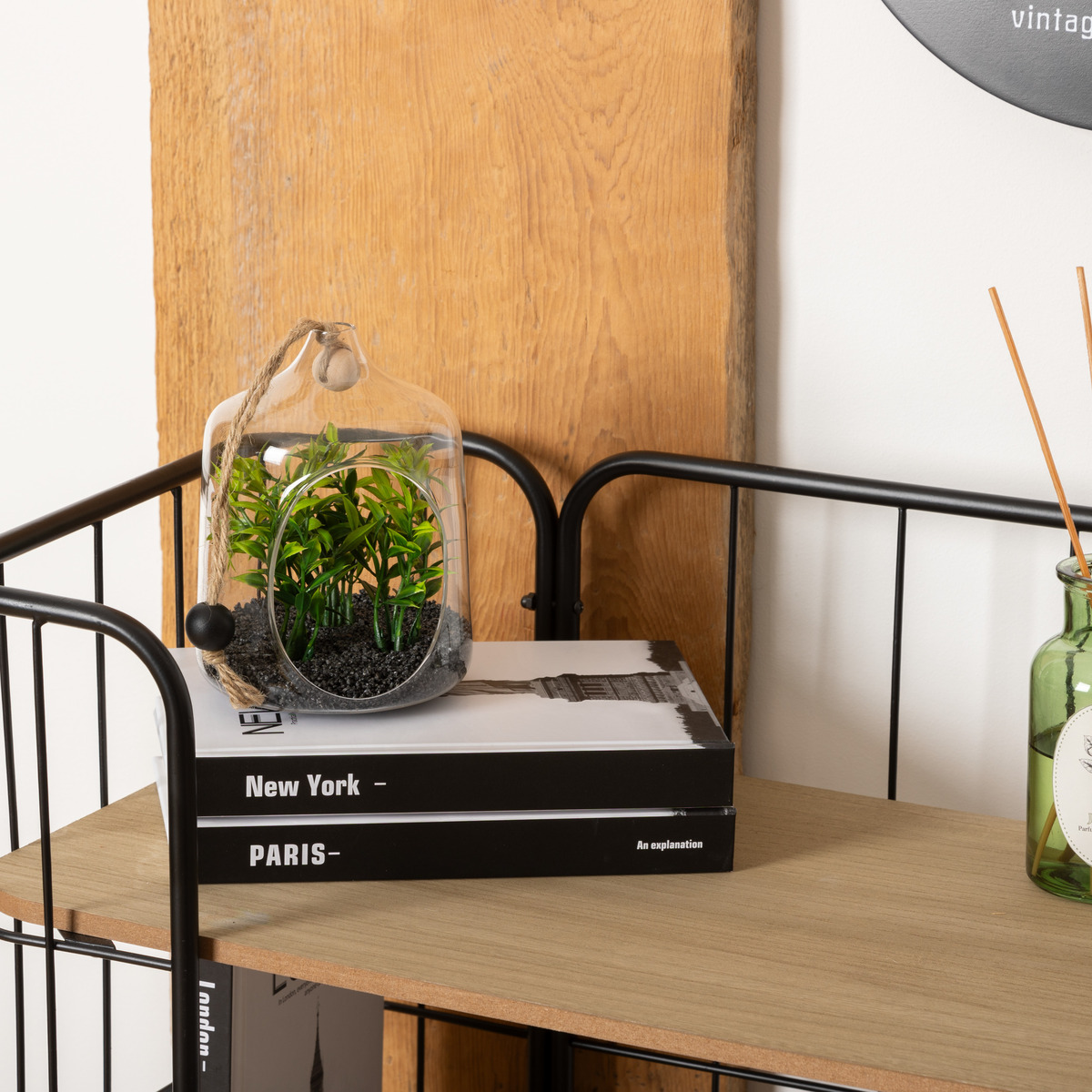 Terrarium artificiel suspendu FAMILY CORNER vert, ATMOSPHERA