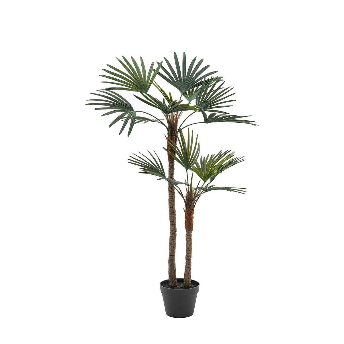 117cm Potted Statement Palm grey, ÉDITÉ