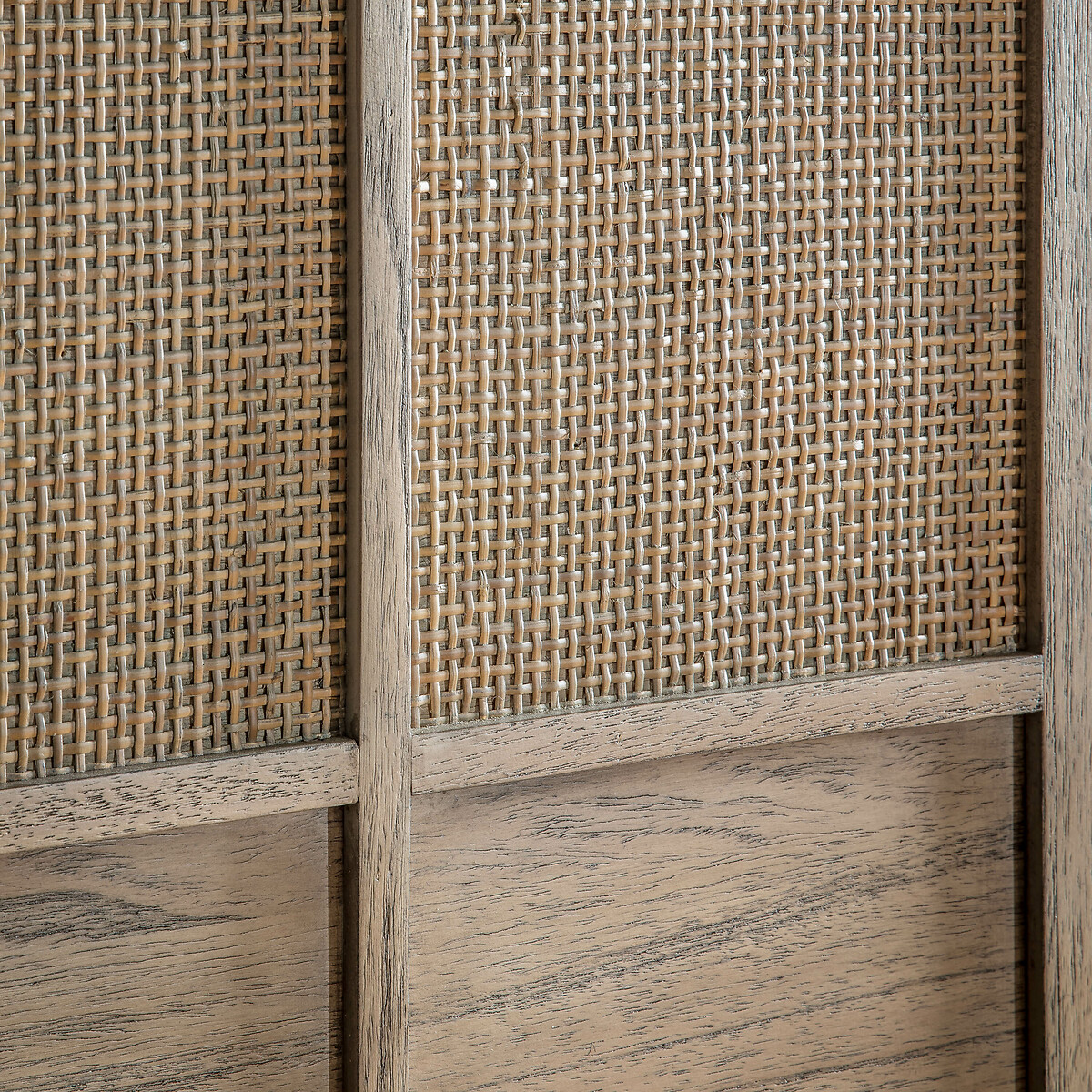 Bharhut Japandi Panelled Rattan 2 Door Cupboard wood, ÉDITÉ