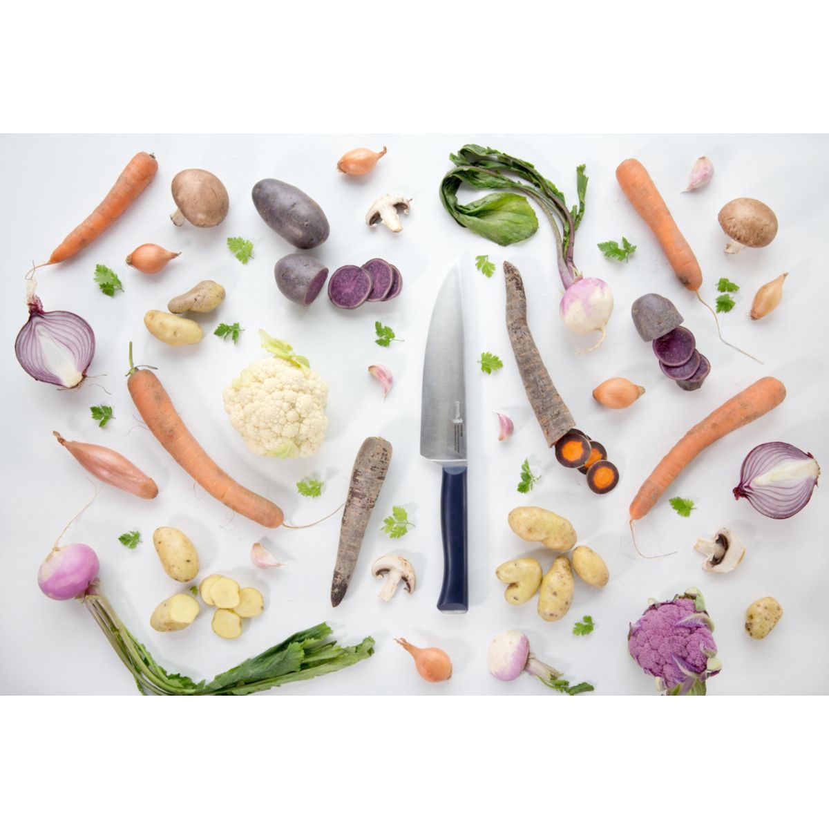 Couteau Chef Intempora No218 coloris unique, OPINEL