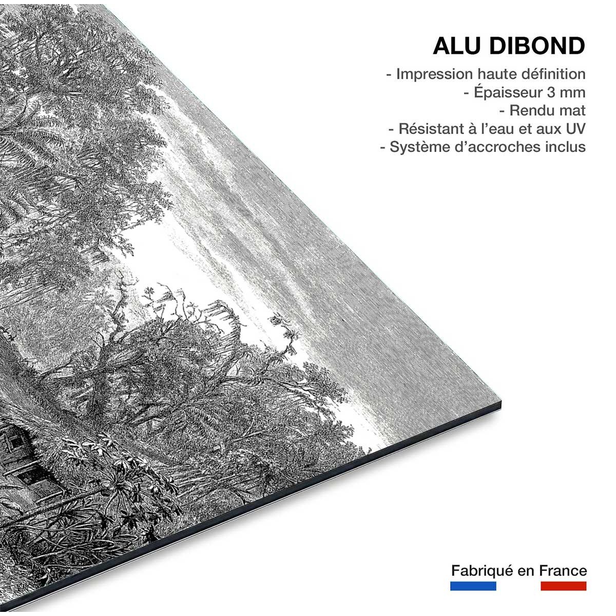 Tableau gravure forêt de mangroves tableau alu dibond, HEXOA