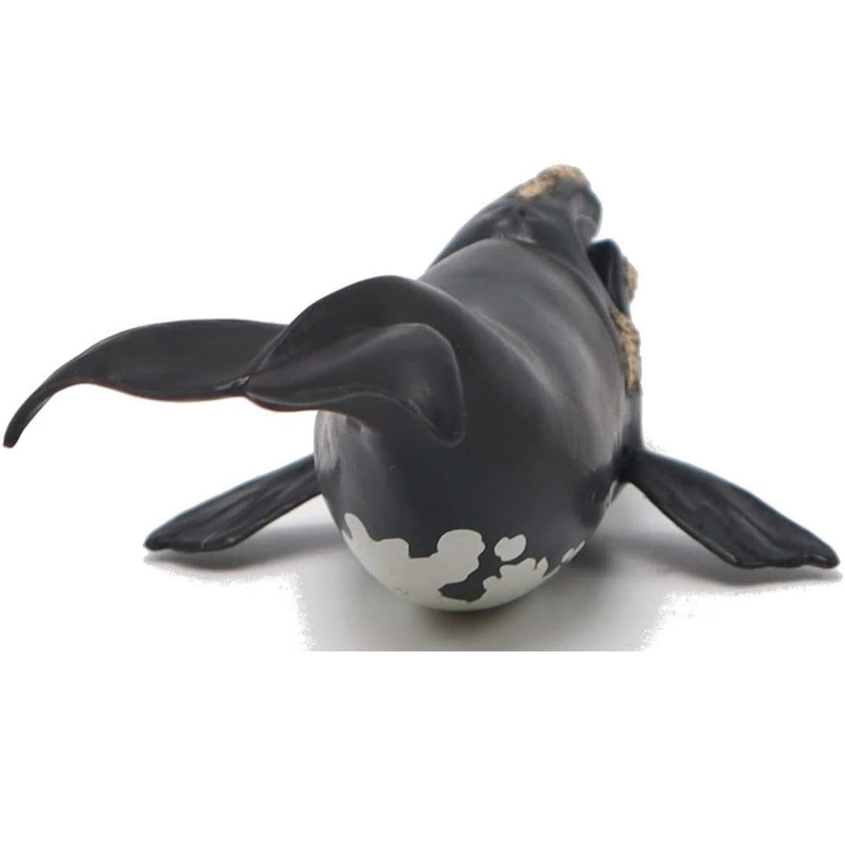 Figurine jeune baleine Franche noir, PAPO
