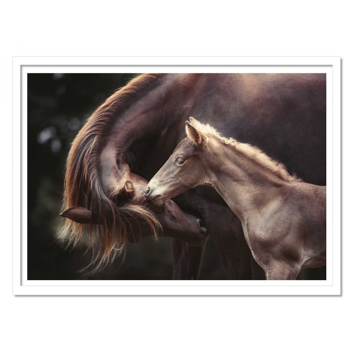 Affiche d’art et cadre noir 50 x 70 cm - The Bond - Heike Willers affiche d'art, WALL EDITIONS