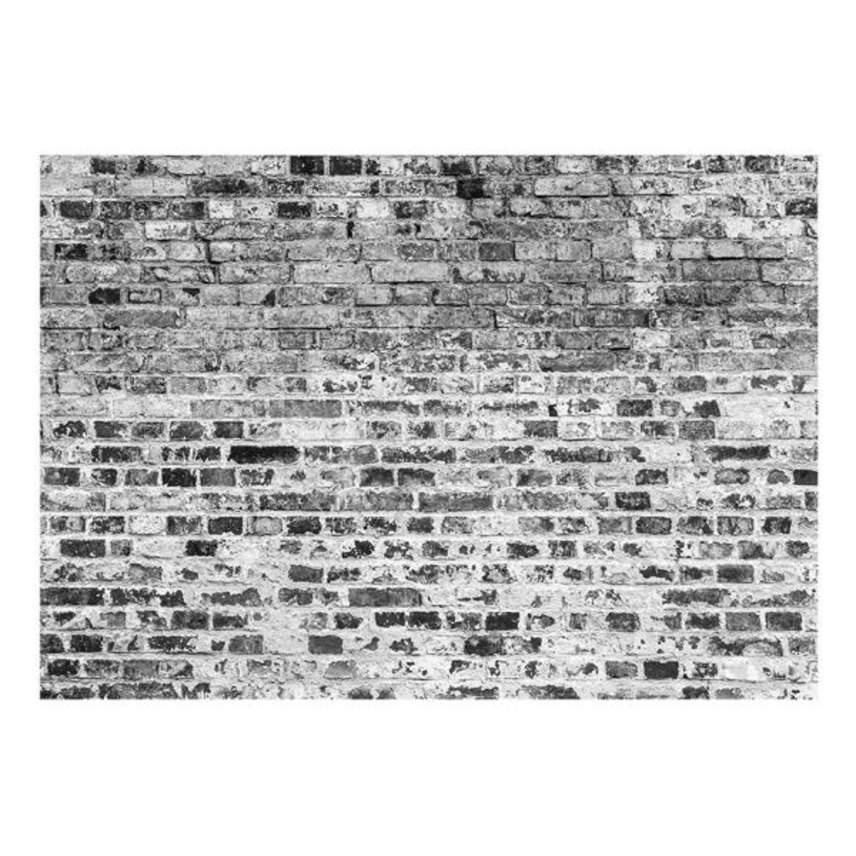 Papier peint intissé panoramique Border of Greynesses gris / argent, EDEN