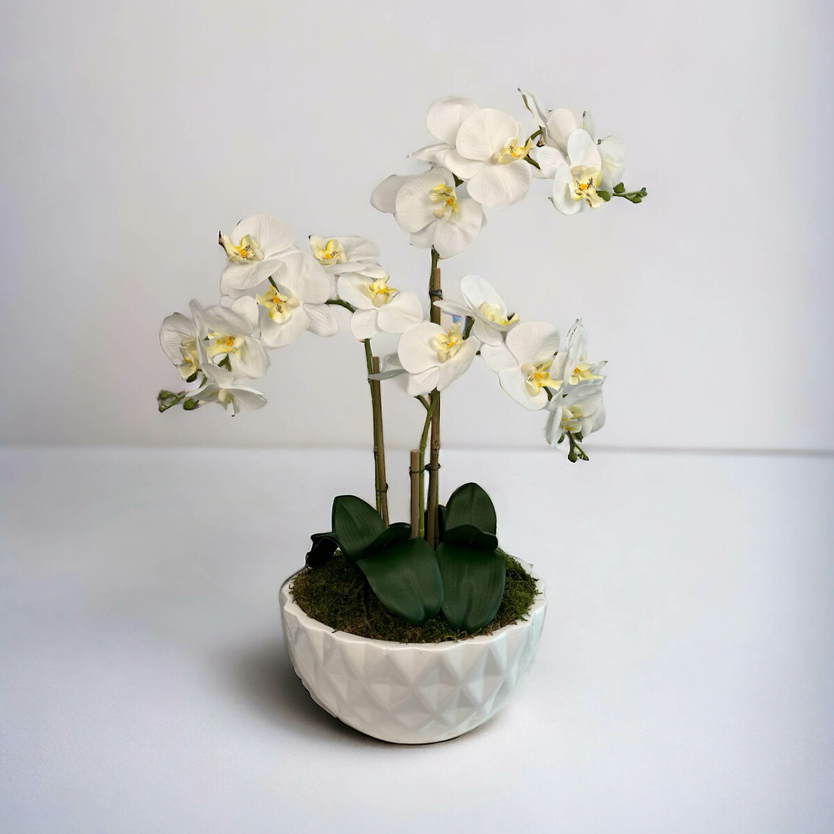 Planta artificial "Orquídeas", BORGHESI verde, BORGHESI
