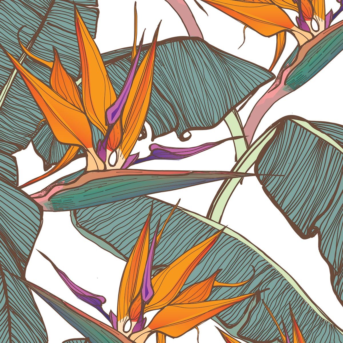 Papier peint panoramique fleurs oranges tropicales intissé, HEXOA