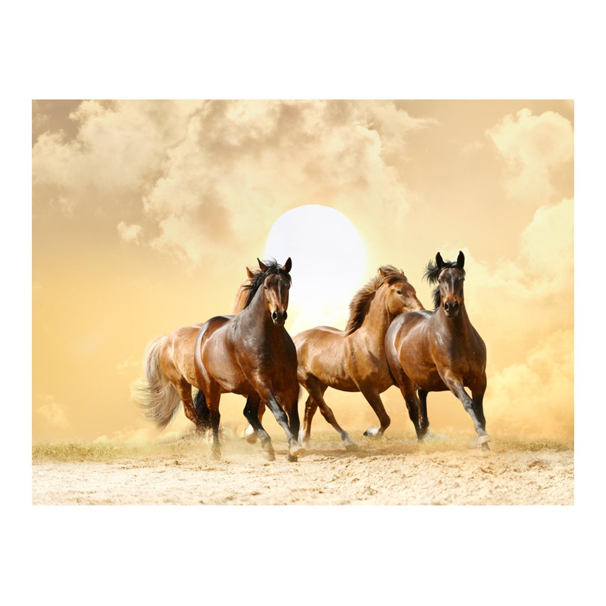 Papier peint intissé panoramique Animaux Chevaux au galop beige, EDEN