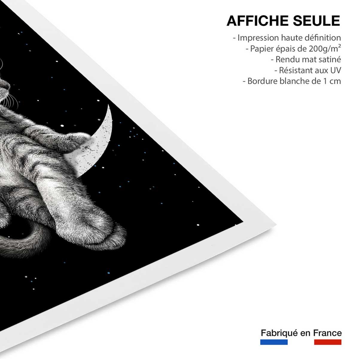 Affiche enfant chat rêveur affiche seule, HEXOA