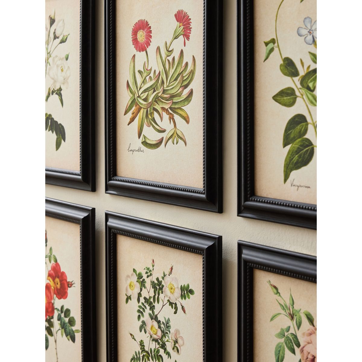 Cadre mural à motif floral texturé, lot de 9 multi-couleurs, NEXT