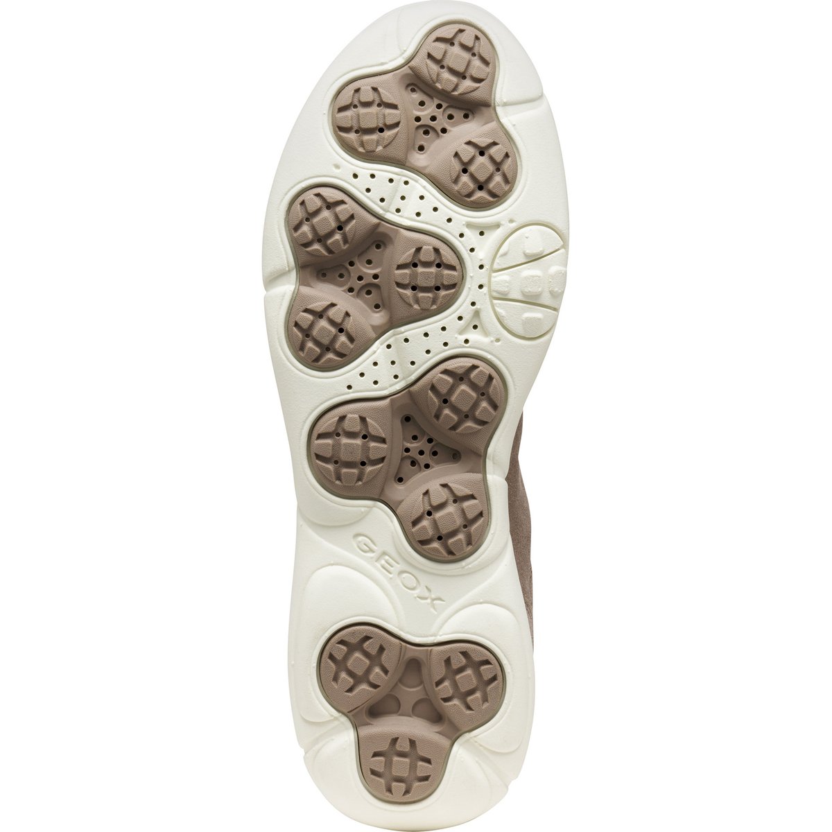 Baskets D NEBULA 2.0 PLUS taupe, GEOX