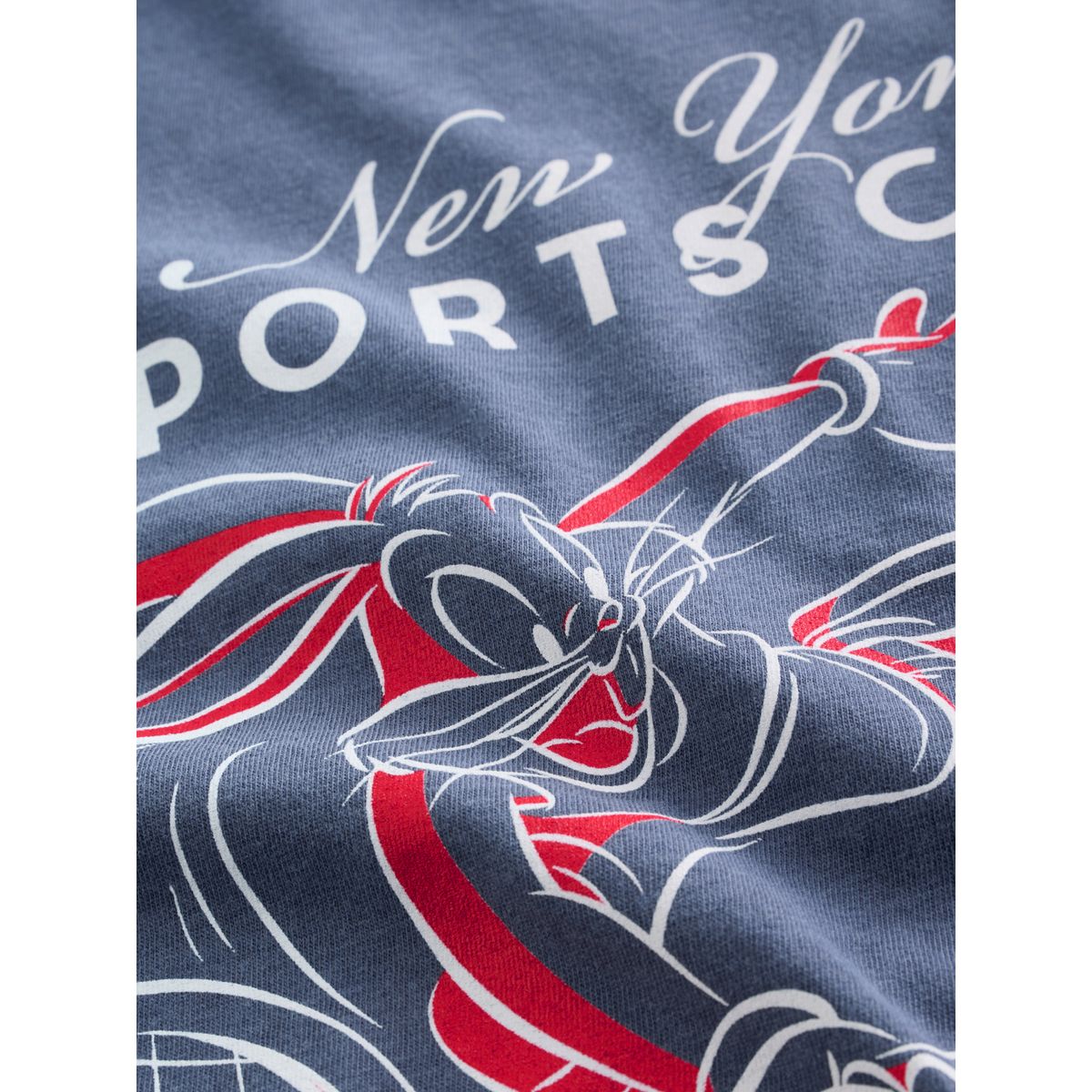 T-shirt looney tunes sous licence bleu marine, NEXT
