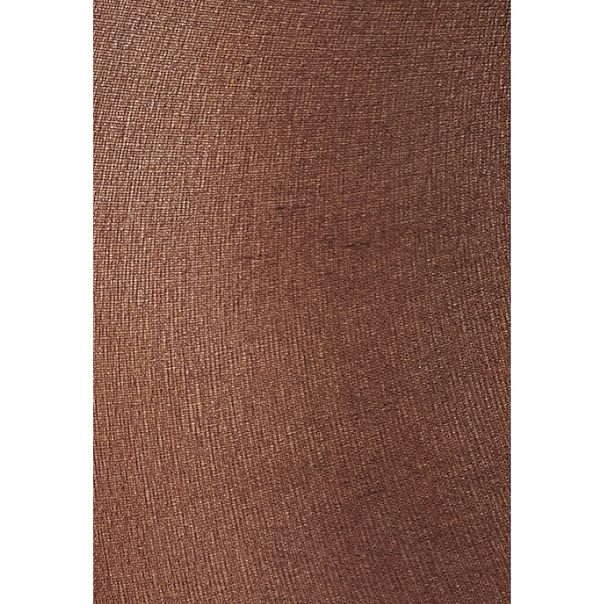 Lot de 4 collants mousse 20d "hanches fortes" noir, DAMART