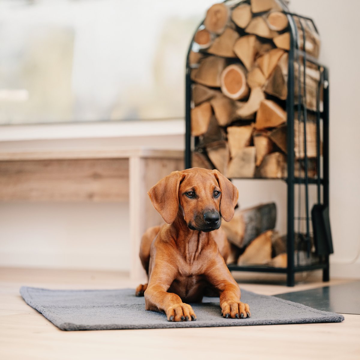 Couverture de voyage TEDDY gris, LABONI