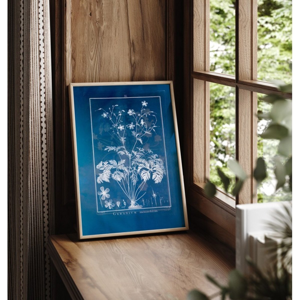 Affiche ancienne plante Geranium bleu, THE DYBDAHL CO