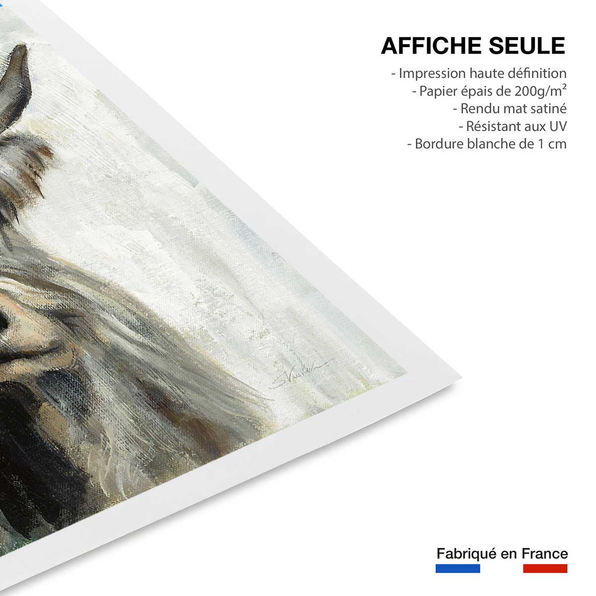Affiche Vache highland aquarelle affiche seule, HEXOA