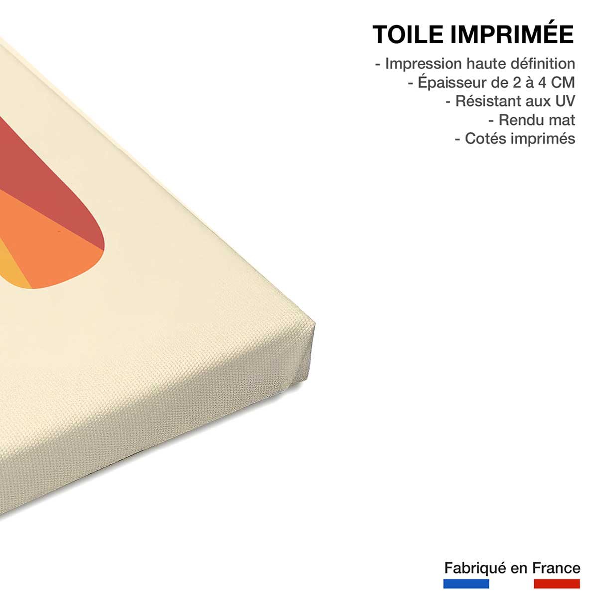 Tableau enfant go home toile imprimée, HEXOA