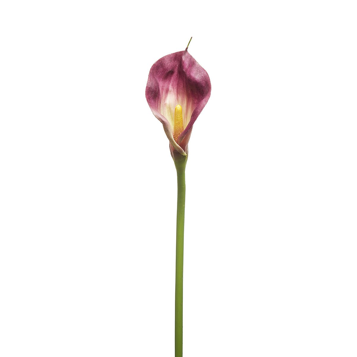 Tige d'arum artificielle H78 violet, SIA DECO