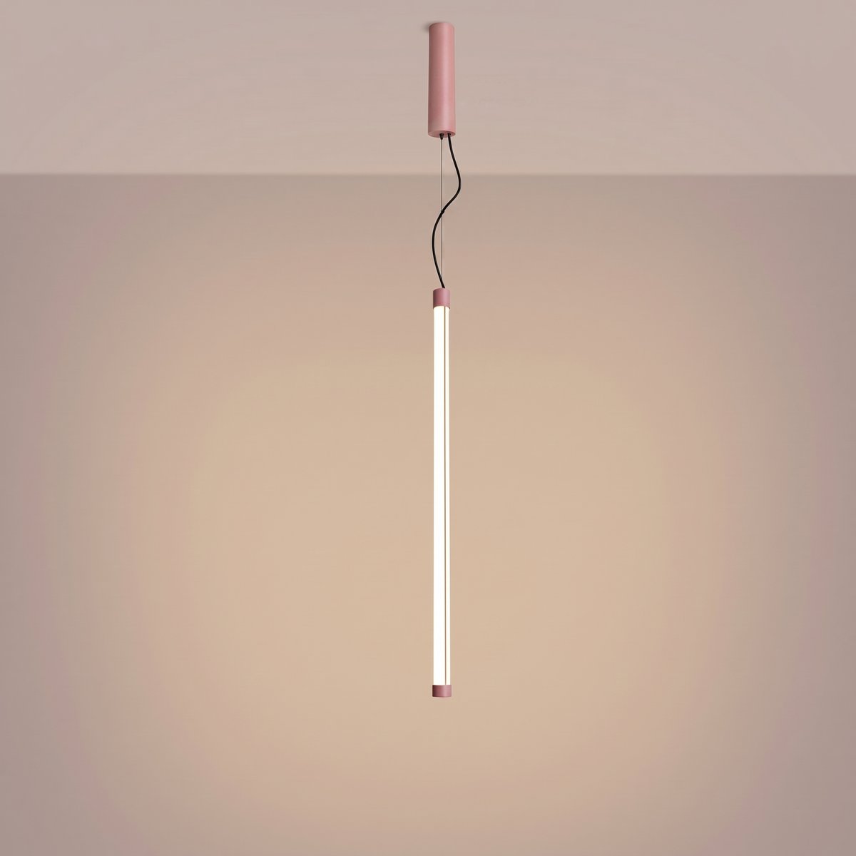 Suspension Acier Rose LED 1 Trang rose, EDEN