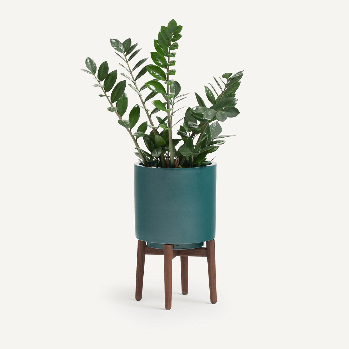 Florian 43cm High Walnut Stand Planter peacock blue, AM.PM