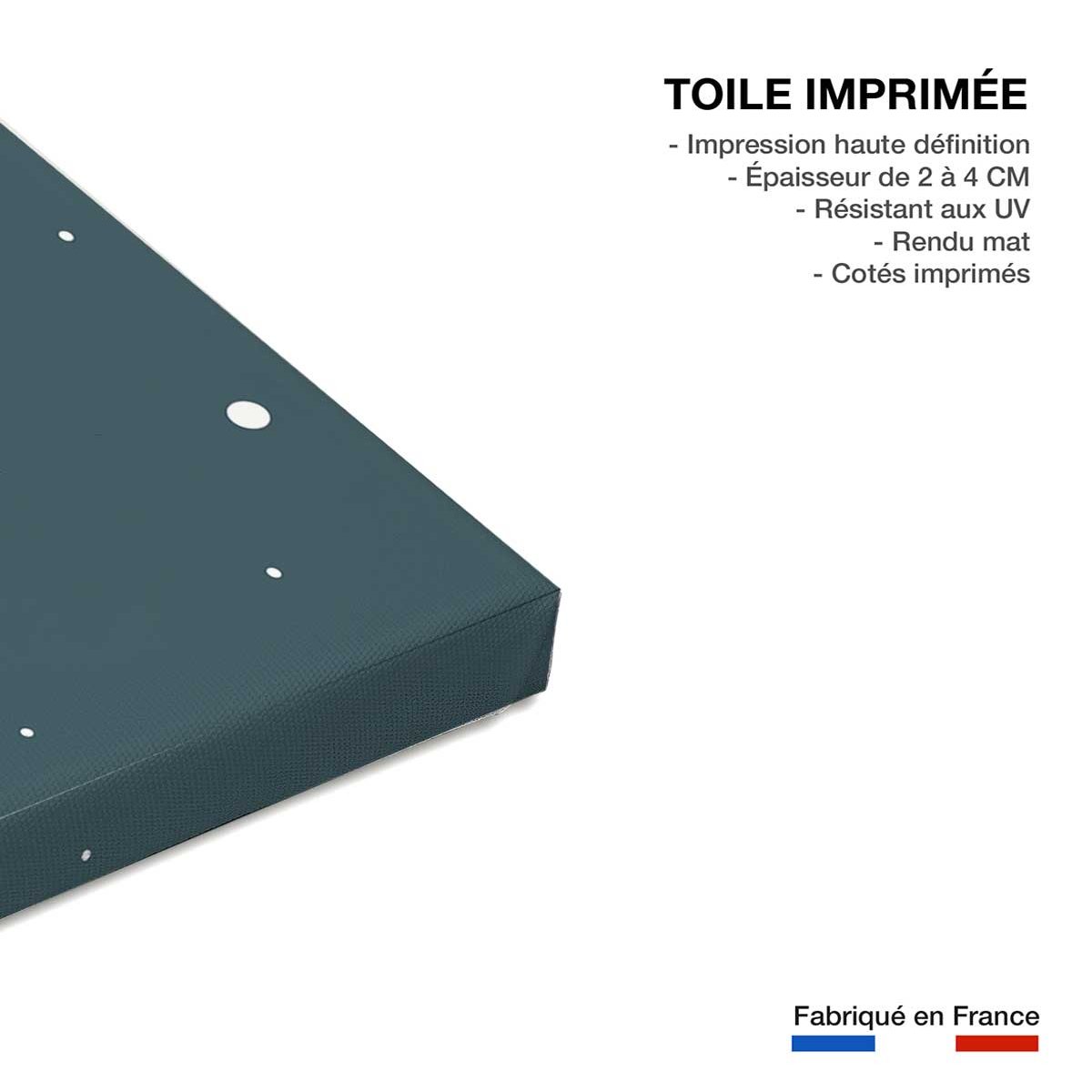 Tableau gris lune pour enfant toile imprimée, HEXOA