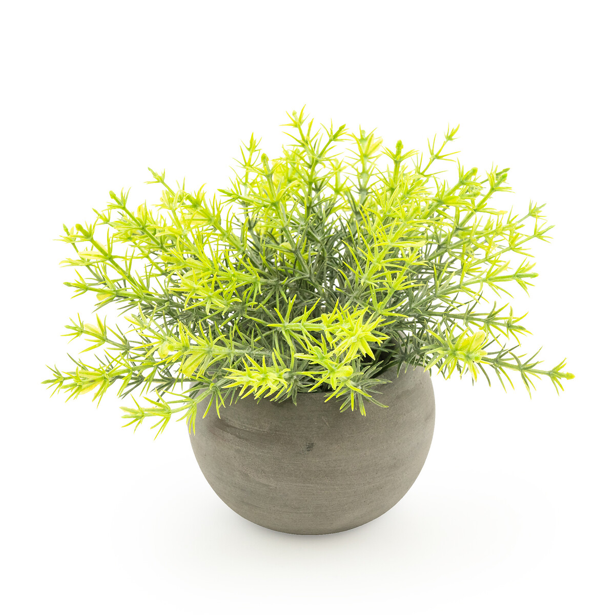 15cm Artificial Mini Rosemary Plant in Pot green, SO'HOME