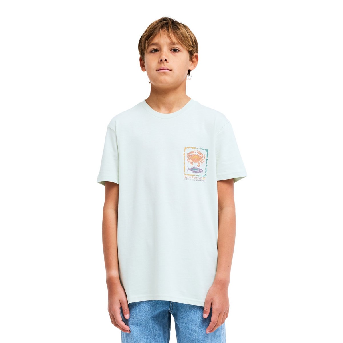 T shirt manches courtes FAUNA vert mist green, BILLABONG