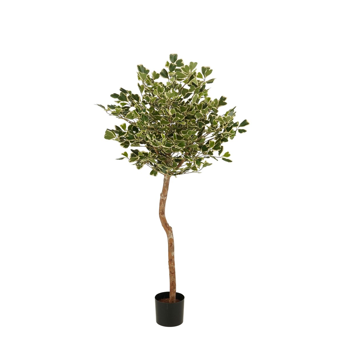 Plante artificielle FICUS vert, MICA DECORATIONS