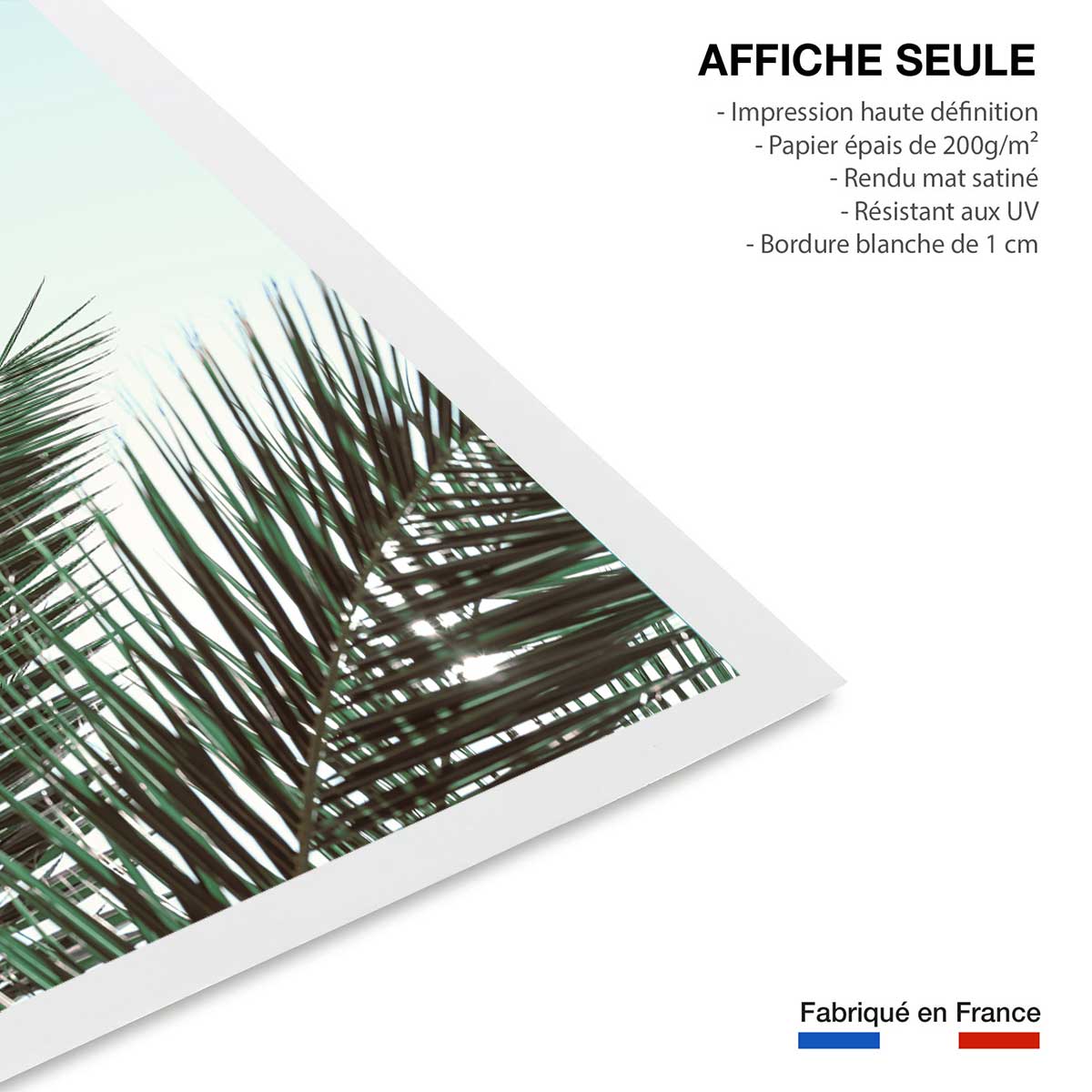 Poster palme verte affiche seule, HEXOA