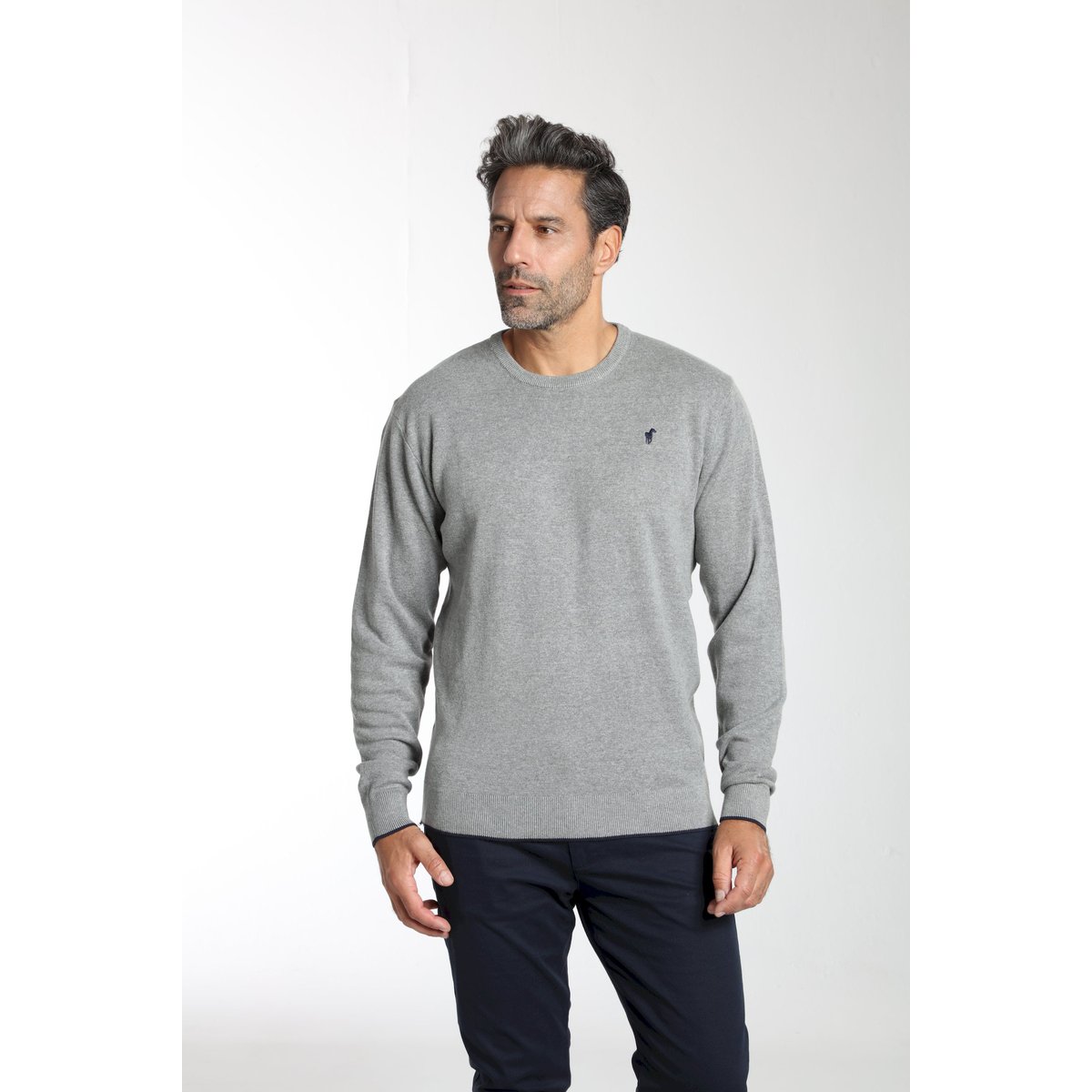 Pull col polo en coton MILANO POLO gris, GENTLEMAN FARMER