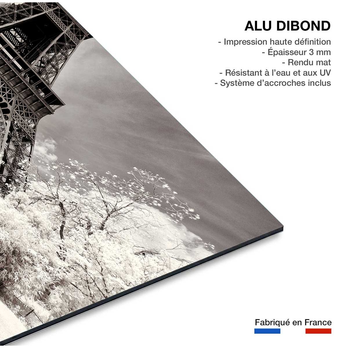 Tableau paris winter white la tour eiffel tableau alu dibond, HEXOA
