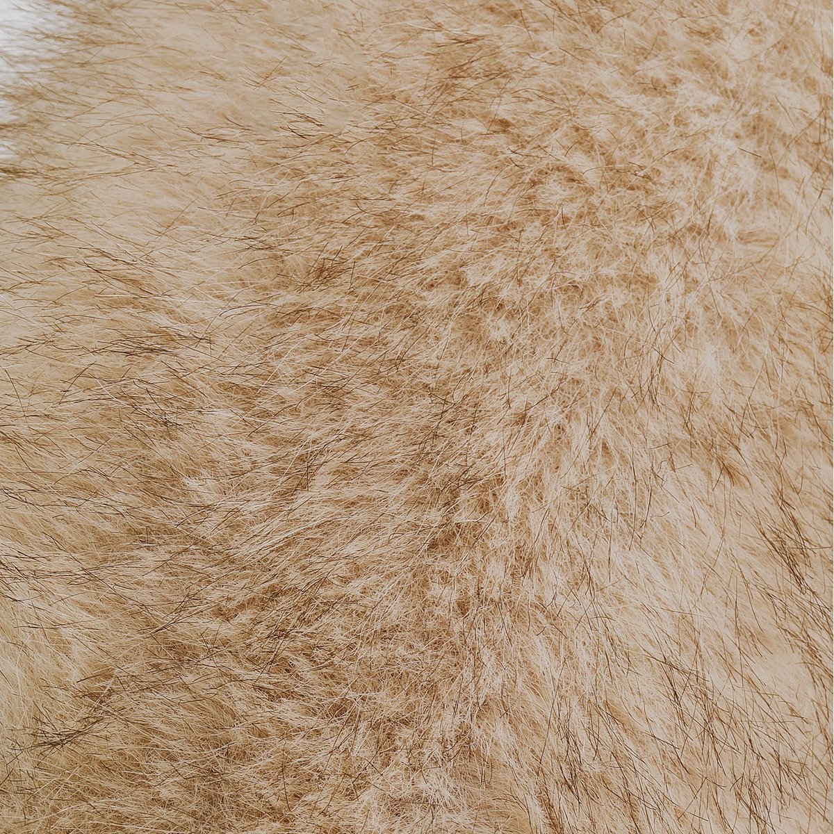 Fauteuil en polyester poils longs, LILJA beige, KARE DESIGN