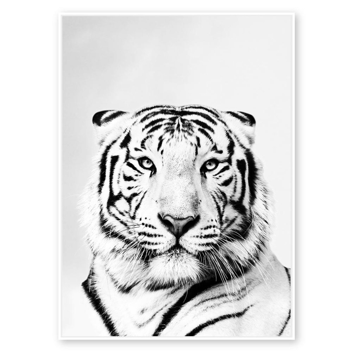 Toile tigre et blanc 80x120 cm noir, AMADEUS
