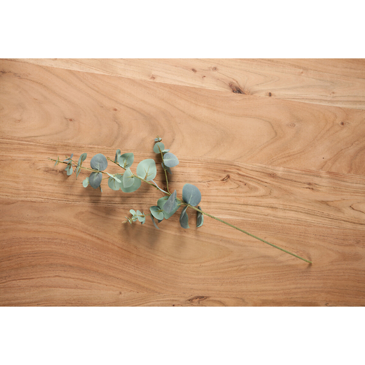Pack of 5 Artificial Eucalyptus Stems green, ÉDITÉ
