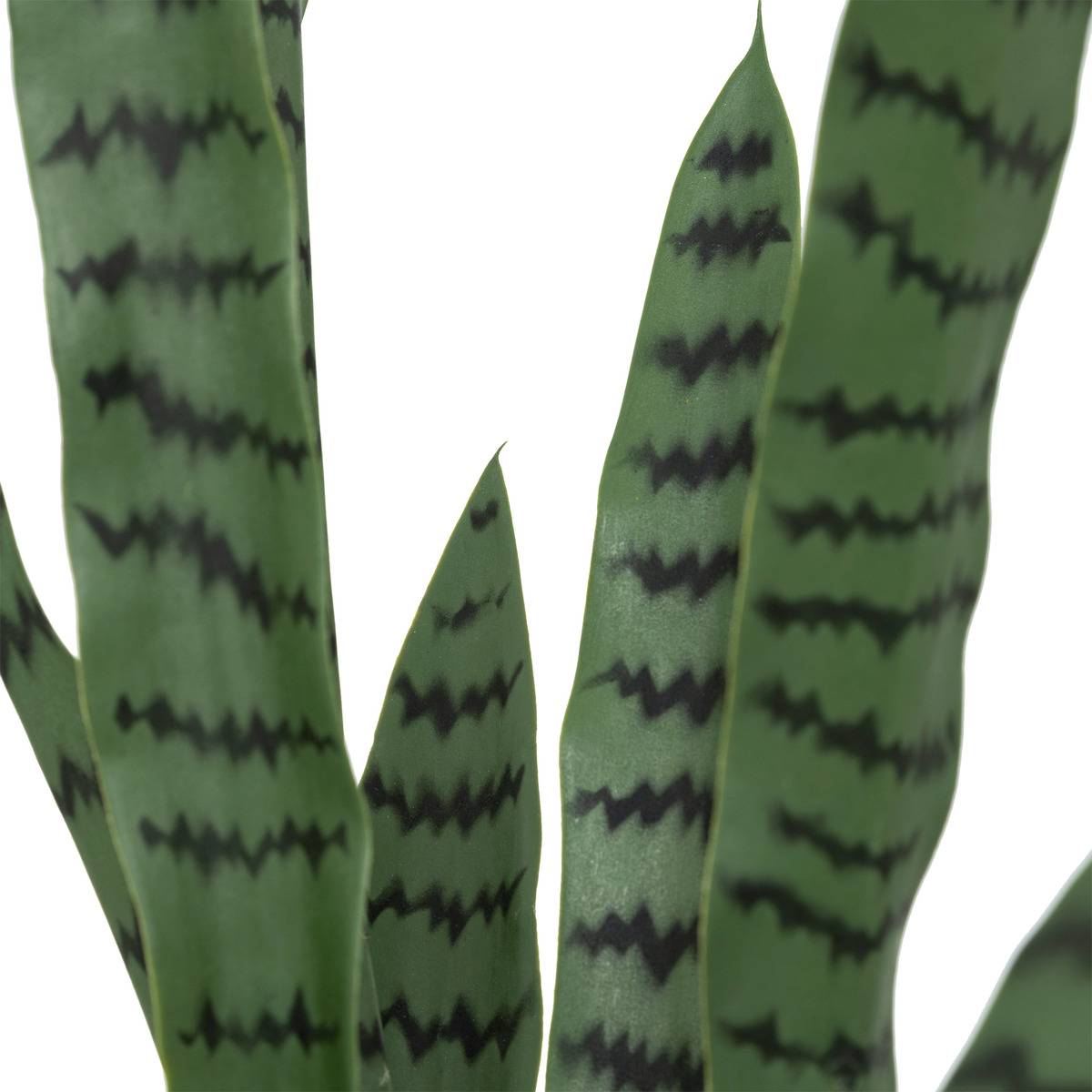 Plante artificielle sansevieria TOBY vert, ATMOSPHERA