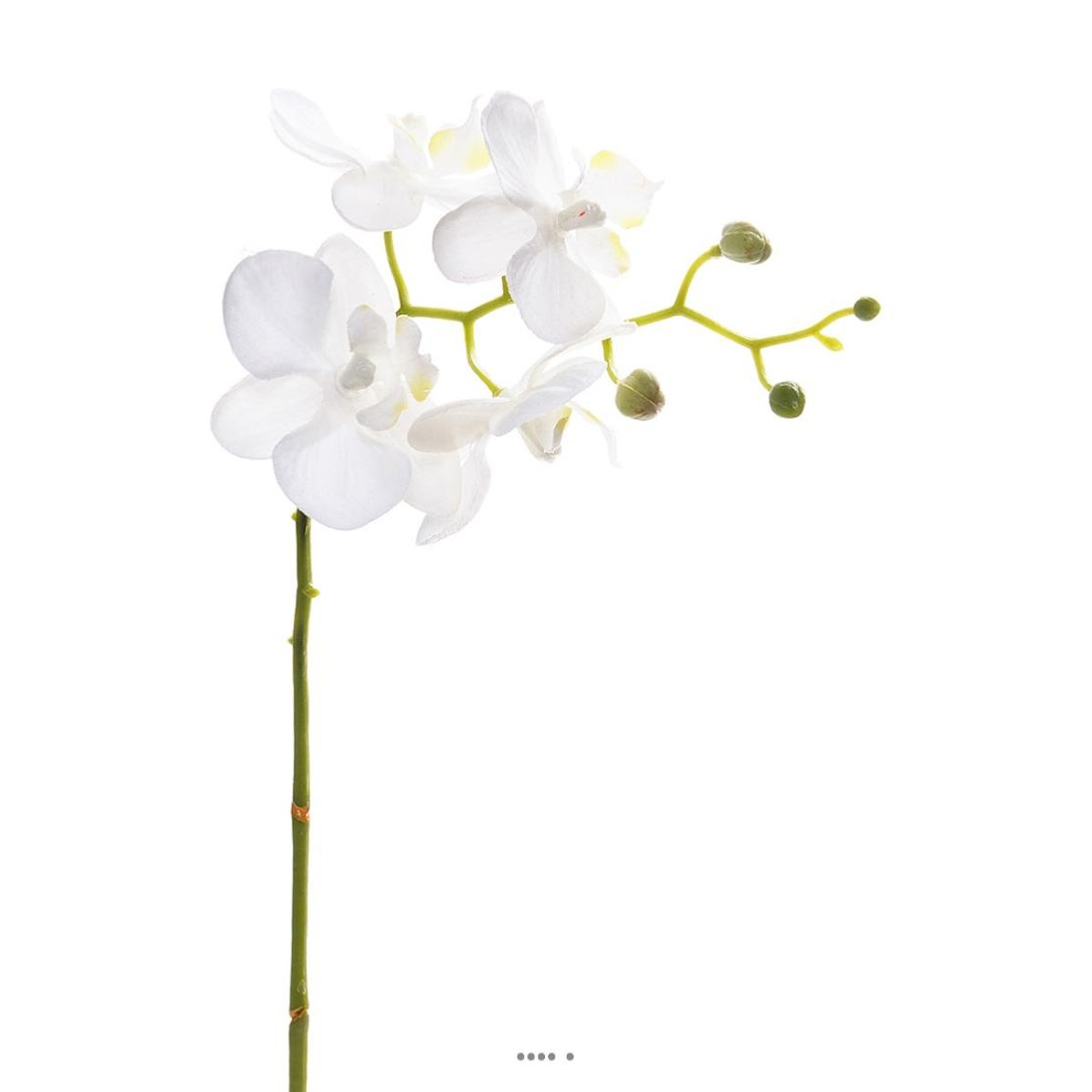Orchidee Phalaenopsis Artificiel Blanc H 30 v002227, ARTIFICIELLES