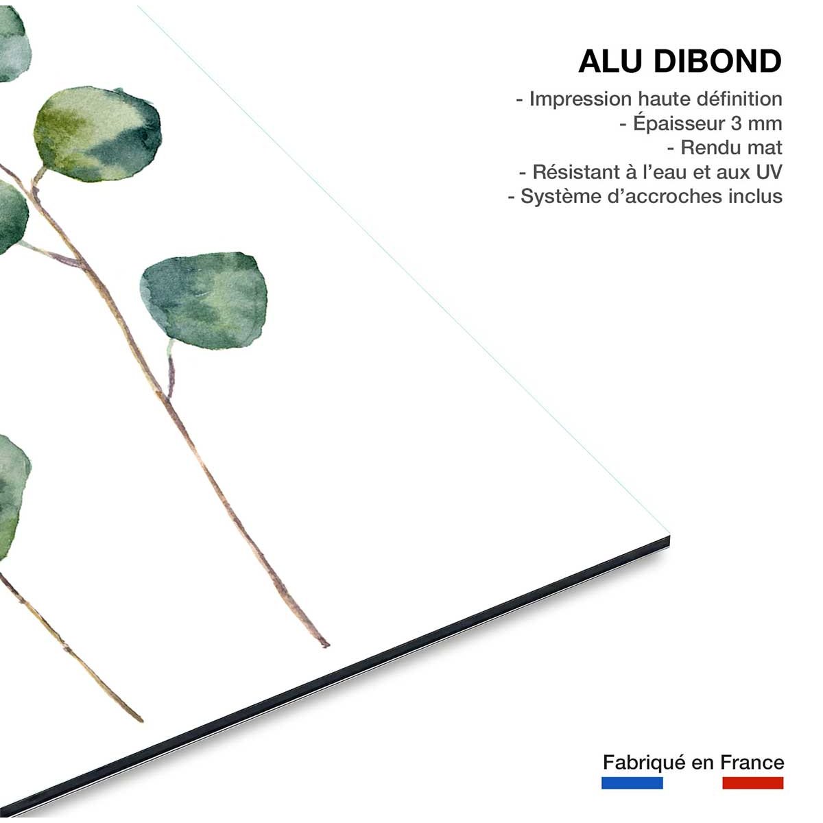 Tableau aquarelle eucalyptus tableau alu dibond, HEXOA