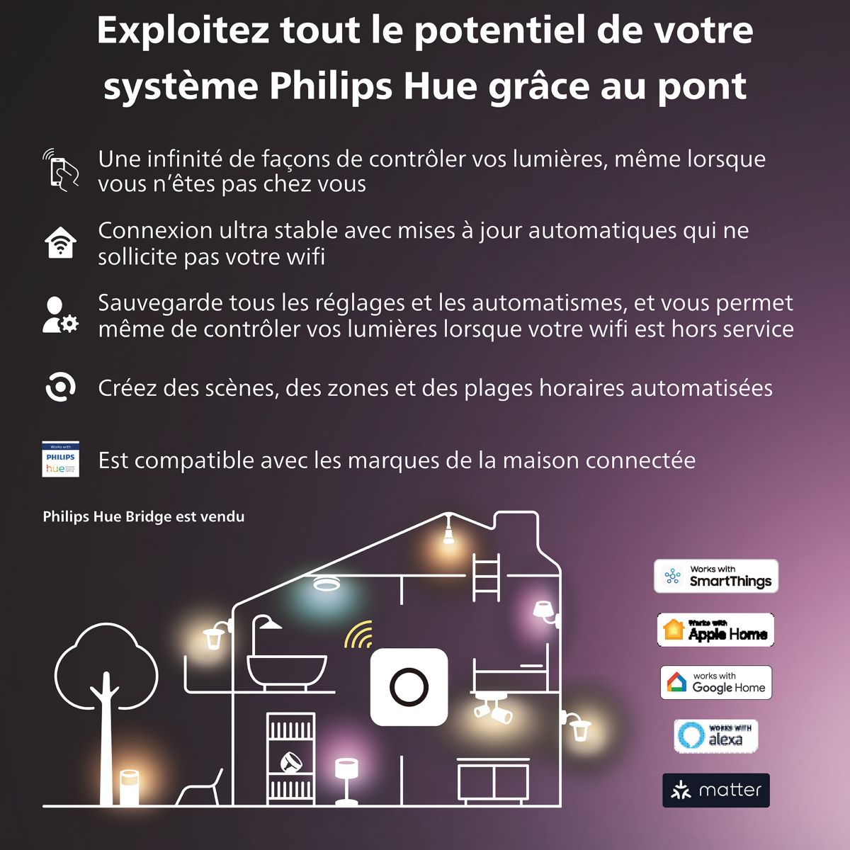 Ampoule LED connectée E14 White&Color Ambiance Flamme pack 2 multicolore, PHILIPS HUE