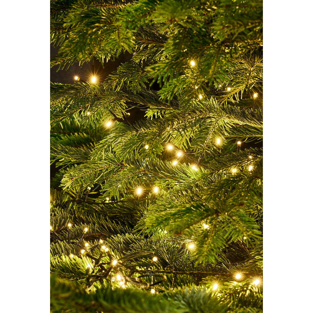 Guirlande lumineuse 240 LED blanc, MONOPRIX