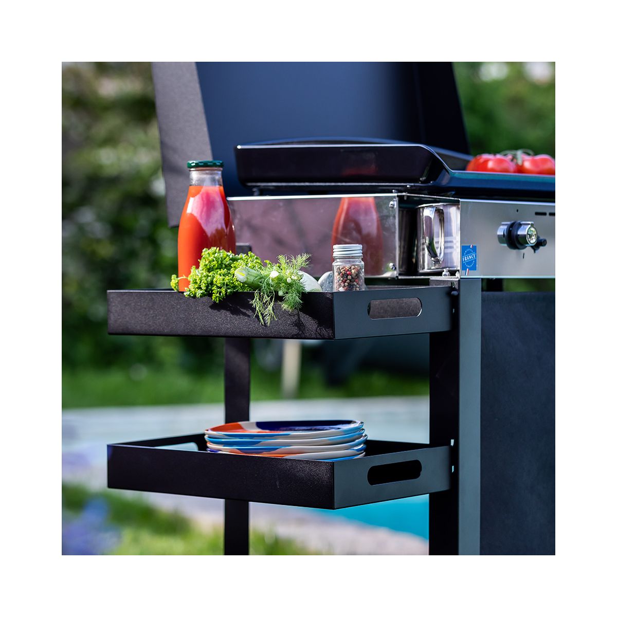 Plancha gaz Combo Initial 65 Inox 3 bruleurs sur chariot, 62x36 cm inox, ENO