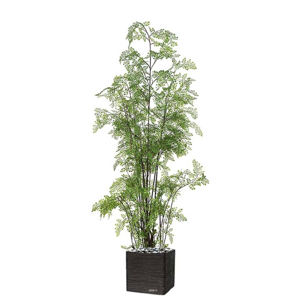 Fougère adiantum artificielle sur pied, blanc, ARTIFICIELLES