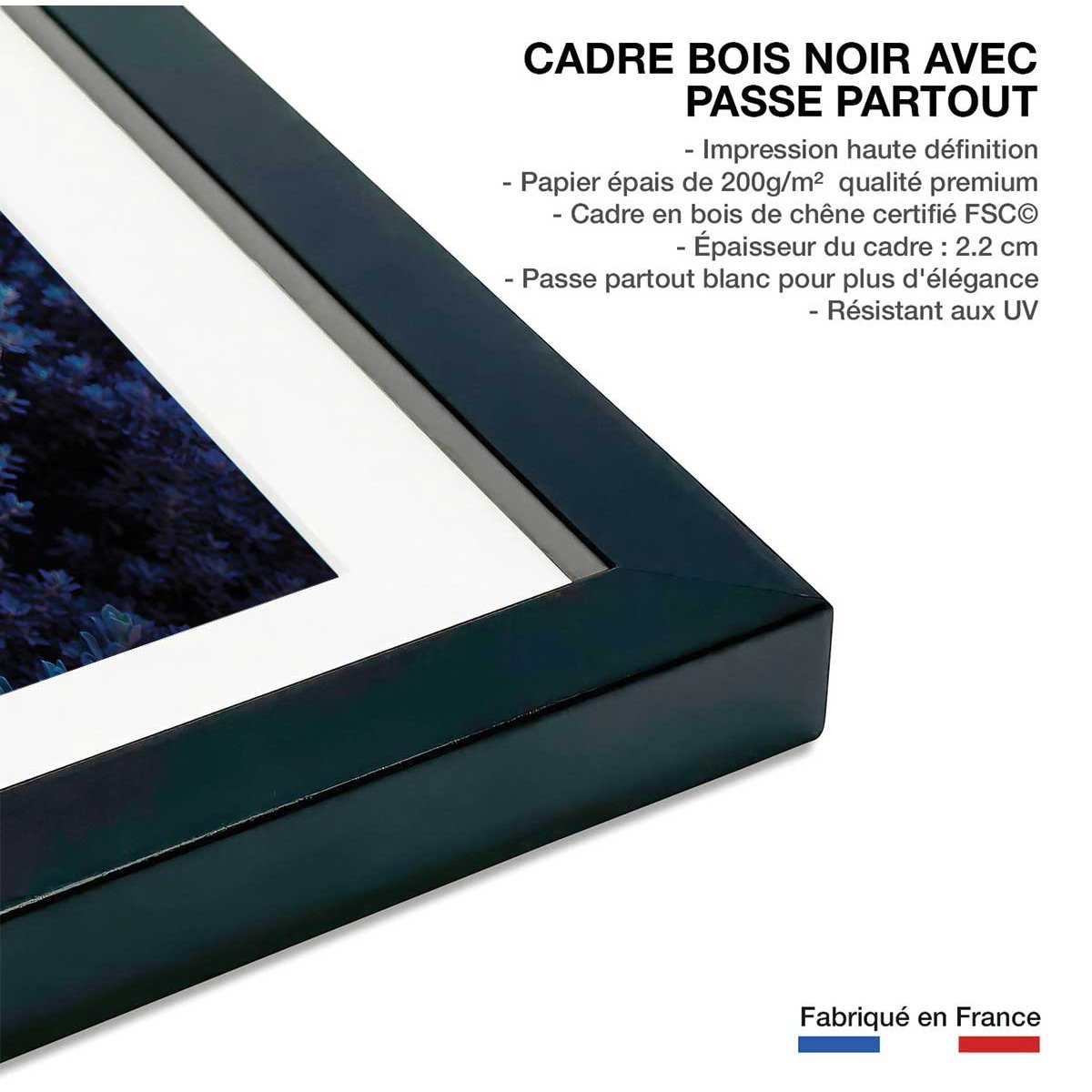 Affiche photo Tableau macro plante grasse collector affiche + cadre en bois - noir, HEXOA