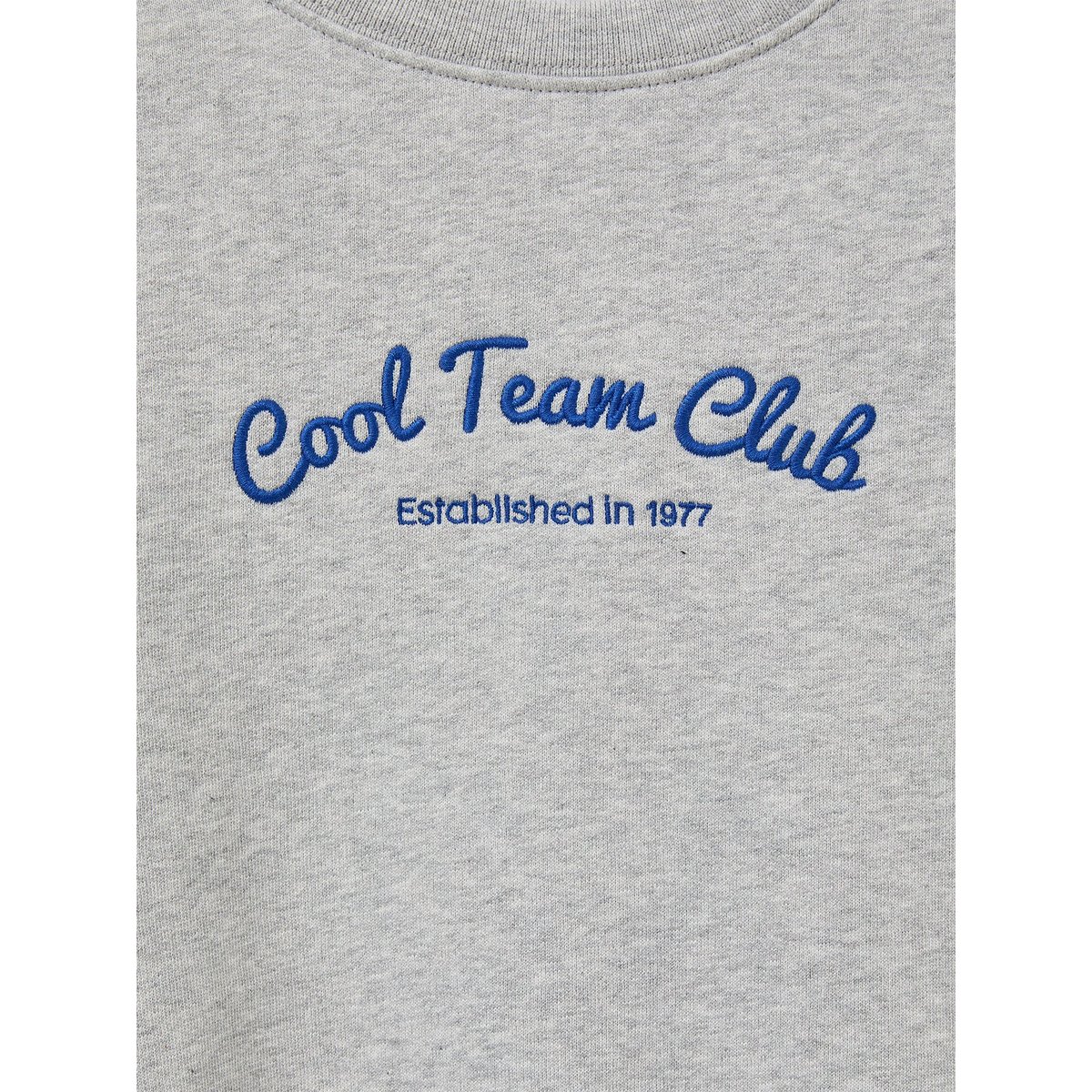 Sweat brodé - Collection JUNIOR gris chine, CYRILLUS
