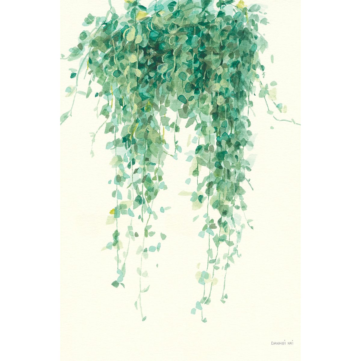 Tableau fleurs Plante tropicale Ceropegia illustrée tableau alu dibond, HEXOA