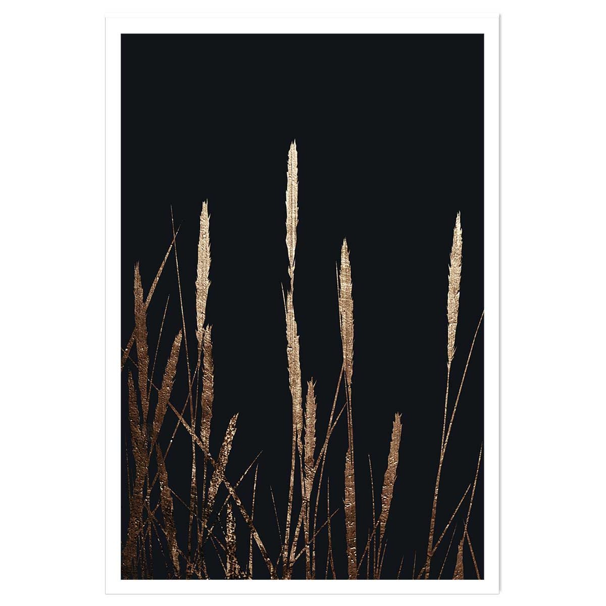 Poster blés dorés affiche seule, HEXOA