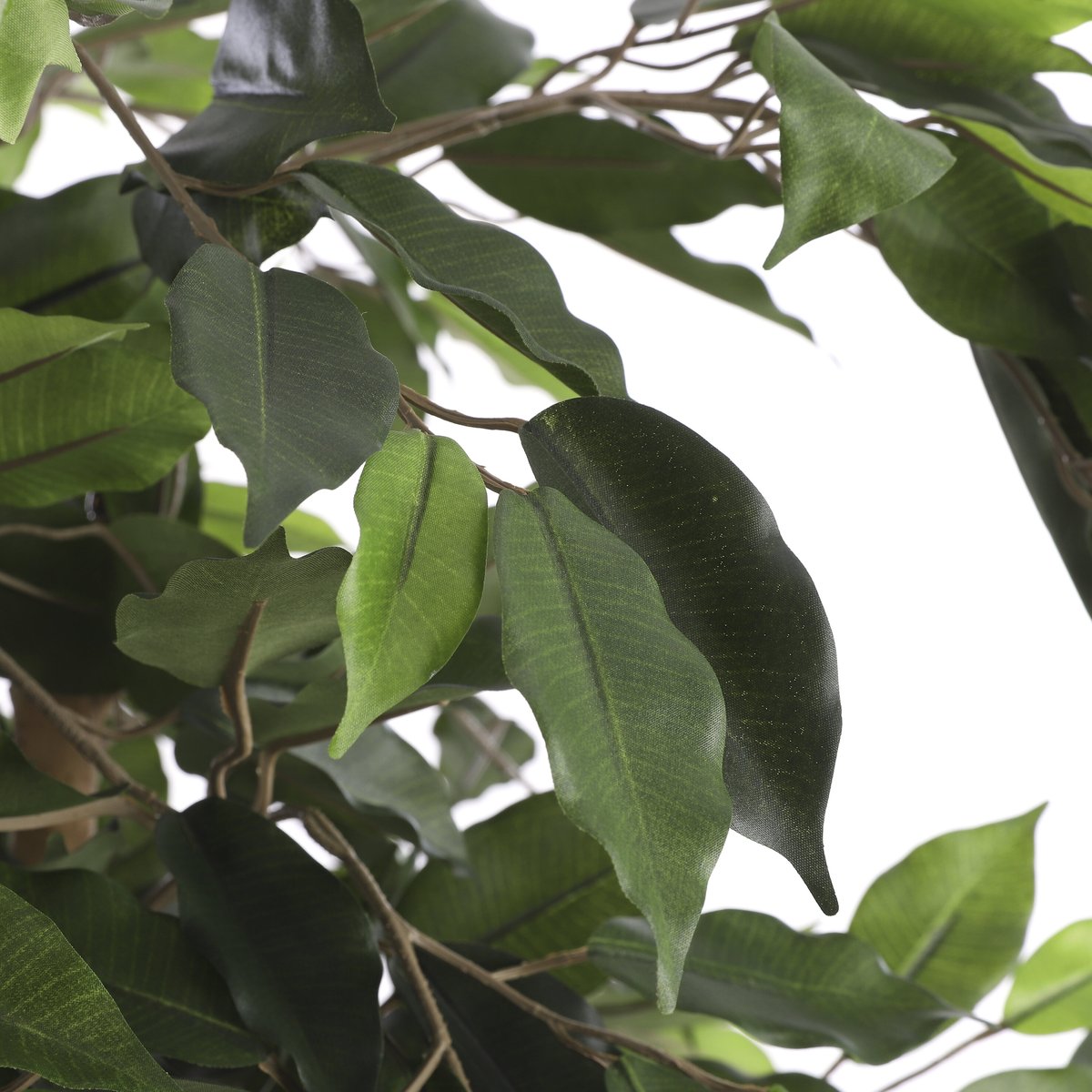 Plante artificielle FICUS vert, MICA DECORATIONS