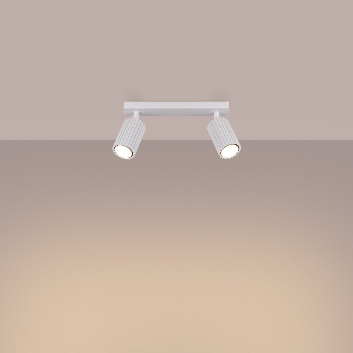 Plafonnier Aluminium Blanc GU10 2 Karbon blanc, EDEN