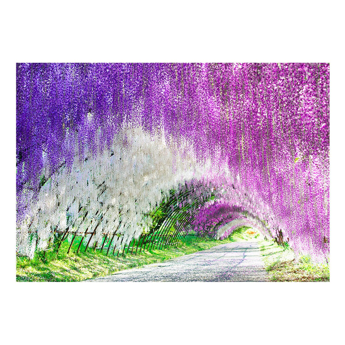 Papier peint intissé panoramique 3D et Perspective Enchanted garden vert, EDEN