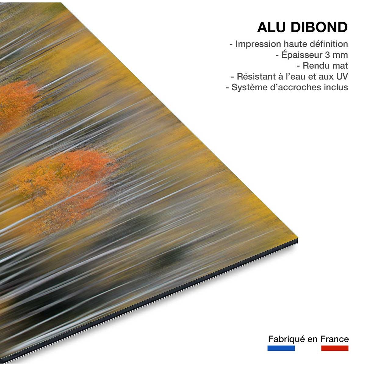 Tableau Impression d'automne tableau alu dibond, HEXOA
