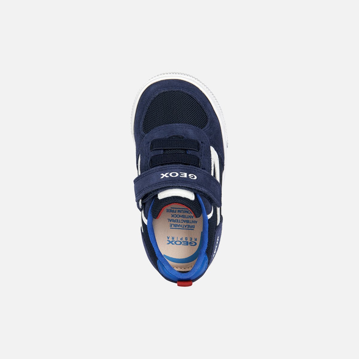 Baskets B KILWI bleu marine/blanc, GEOX